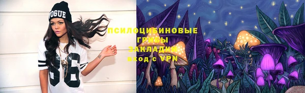 шишки Россошь