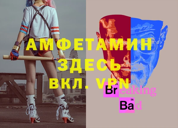 СК Алексин