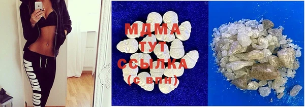 СК Алексин