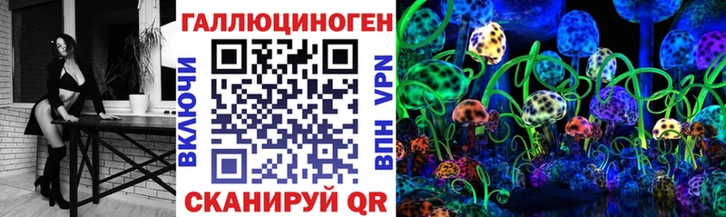 Галлюциногенные грибы MAGIC MUSHROOMS как найти закладки Грязовец