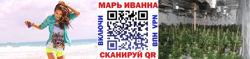 Каннабис планчик  наркошоп  Грязовец 